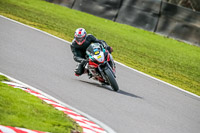 Oulton-Park-21st-March-2020;PJ-Motorsport-Photography-2020;anglesey;brands-hatch;cadwell-park;croft;donington-park;enduro-digital-images;event-digital-images;eventdigitalimages;mallory;no-limits;oulton-park;peter-wileman-photography;racing-digital-images;silverstone;snetterton;trackday-digital-images;trackday-photos;vmcc-banbury-run;welsh-2-day-enduro